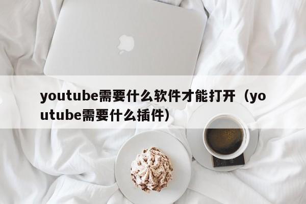 youtube需要什么软件才能打开（youtube需要什么插件） 第1张