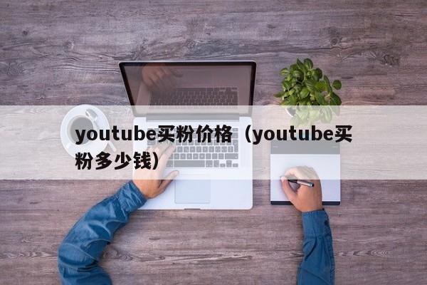 youtube买粉价格（youtube买粉多少钱） 第1张