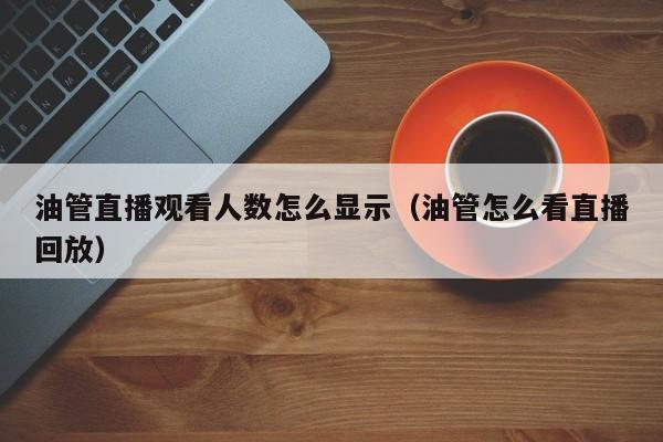 油管直播观看人数怎么显示（油管怎么看直播回放） 第1张