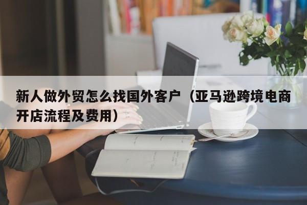 新人做外贸怎么找国外客户(亚马逊跨境电商开店流程及费用) 第1张 新人做外贸怎么找国外客户(亚马逊跨境电商开店流程及费用) 第1张