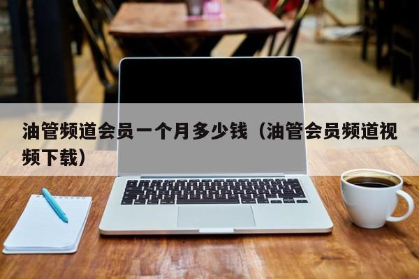 油管频道会员一个月多少钱（油管会员频道视频下载） 第1张