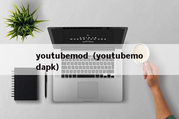 youtubemod（youtubemodapk） 第1张