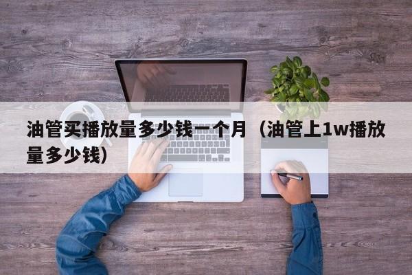 油管买播放量多少钱一个月（油管上1w播放量多少钱） 第1张