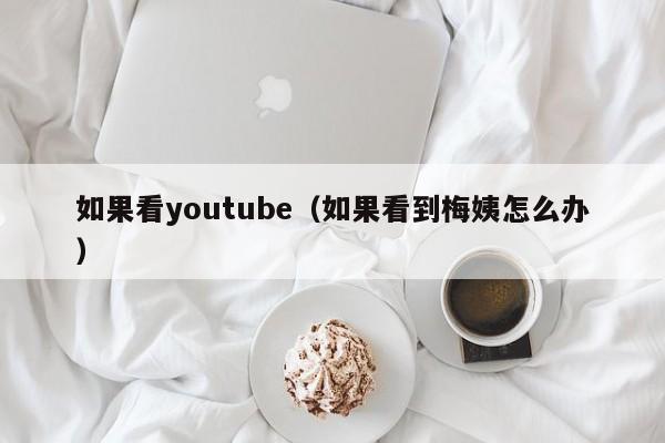如果看youtube（如果看到梅姨怎么办） 第1张