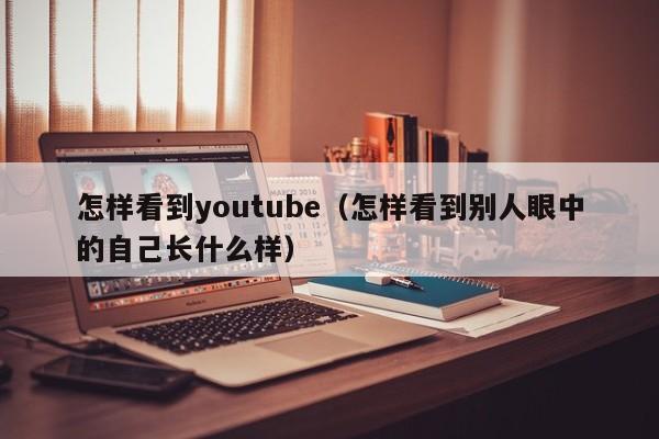怎样看到youtube（怎样看到别人眼中的自己长什么样） 第1张