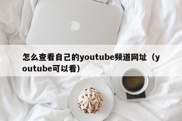 怎么查看自己的youtube频道网址（youtube可以看） 第1张