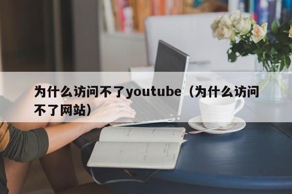 为什么访问不了youtube（为什么访问不了网站） 第1张
