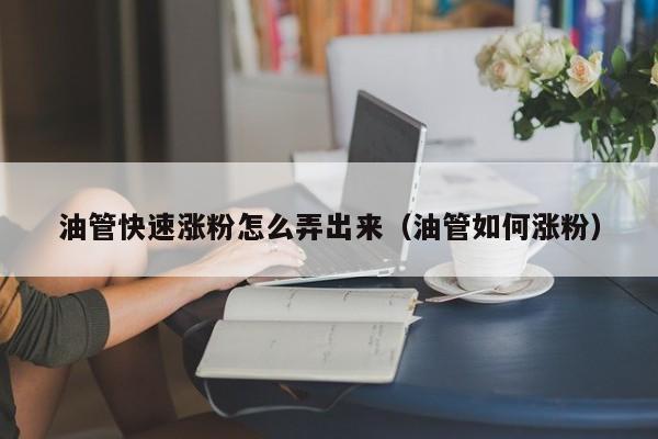 油管快速涨粉怎么弄出来(油管如何涨粉) 第1张 油管快速涨粉怎么弄出来(油管如何涨粉) 第1张