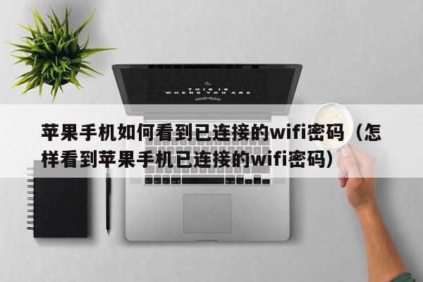 苹果手机如何看到已连接的wifi密码（怎样看到苹果手机已连接的wifi密码） 第1张