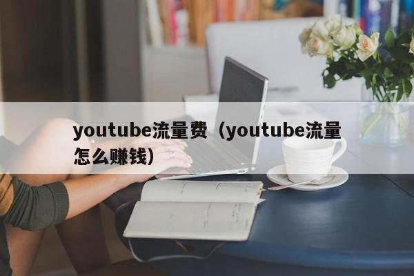 youtube流量费（youtube流量怎么赚钱） 第1张