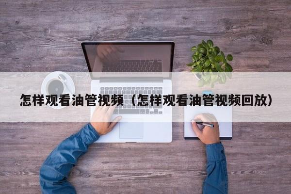 怎样观看油管视频（怎样观看油管视频回放） 第1张