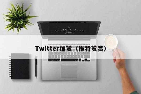 Twitter加赞（推特赞赏） 第1张