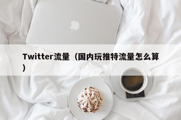 Twitter流量（国内玩推特流量怎么算） 第1张