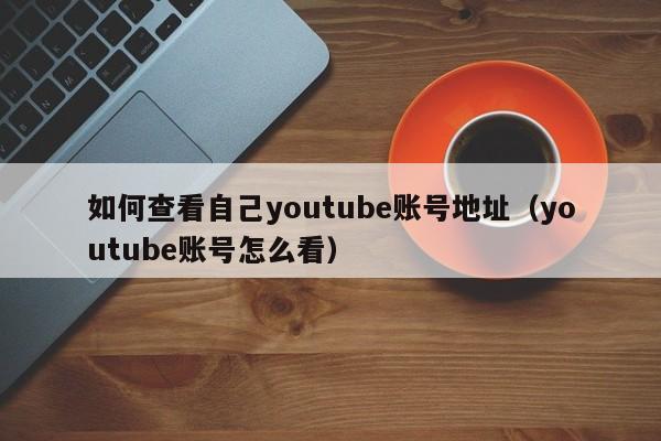 如何查看自己youtube账号地址（youtube账号怎么看） 第1张