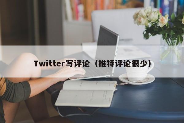 Twitter写评论（推特评论很少） 第1张