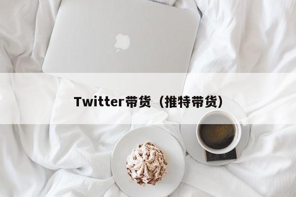 Twitter带货（推特带货） 第1张