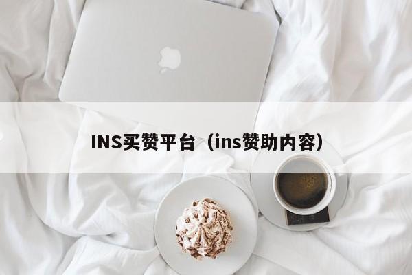 INS买赞平台（ins赞助内容） 第1张