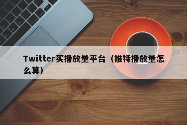 Twitter买播放量平台(推特播放量怎么算) 第1张 Twitter买播放量平台(推特播放量怎么算) 第1张