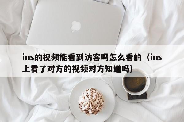 ins的视频能看到访客吗怎么看的（ins上看了对方的视频对方知道吗） 第1张