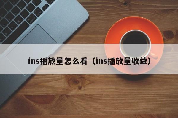ins播放量怎么看（ins播放量收益） 第1张
