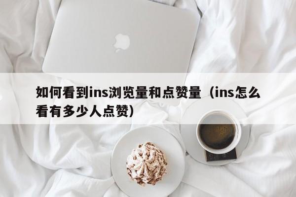 如何看到ins浏览量和点赞量（ins怎么看有多少人点赞） 第1张