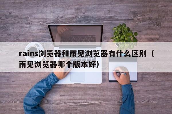 rains浏览器和雨见浏览器有什么区别（雨见浏览器哪个版本好） 第1张