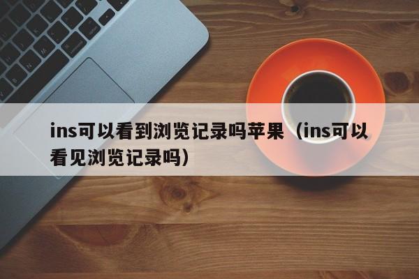 ins可以看到浏览记录吗苹果(ins可以看见浏览记录吗) 第1张 ins可以看到浏览记录吗苹果(ins可以看见浏览记录吗) 第1张