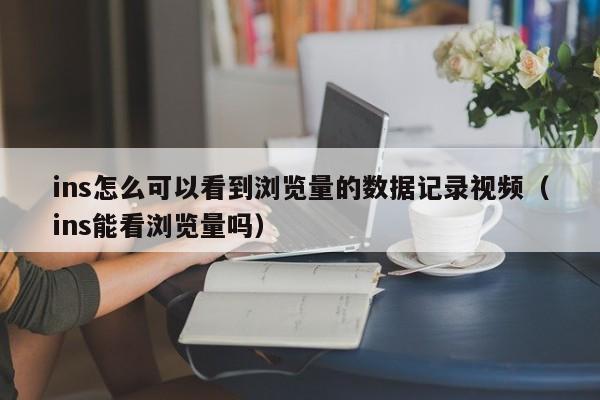 ins怎么可以看到浏览量的数据记录视频（ins能看浏览量吗） 第1张