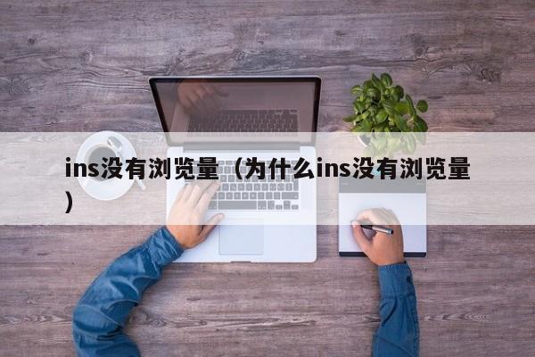 ins没有浏览量（为什么ins没有浏览量） 第1张