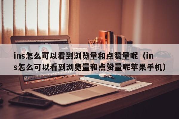 ins怎么可以看到浏览量和点赞量呢（ins怎么可以看到浏览量和点赞量呢苹果手机） 第1张