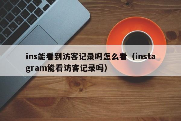ins能看到访客记录吗怎么看（instagram能看访客记录吗） 第1张