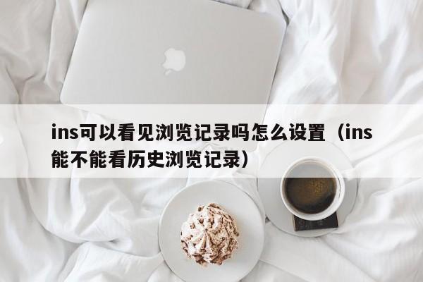 ins可以看见浏览记录吗怎么设置（ins能不能看历史浏览记录） 第1张