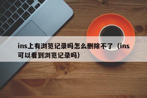 ins上有浏览记录吗怎么删除不了（ins可以看到浏览记录吗） 第1张