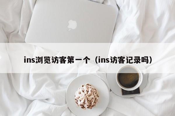 ins浏览访客第一个（ins访客记录吗） 第1张