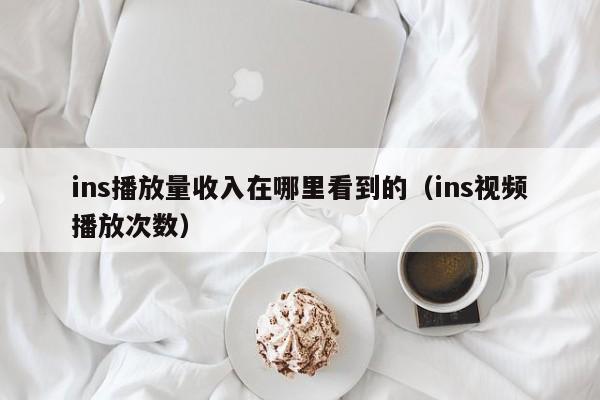 ins播放量收入在哪里看到的（ins视频播放次数） 第1张