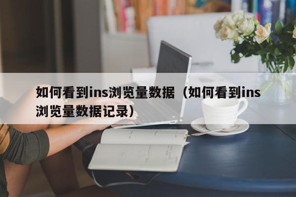 如何看到ins浏览量数据（如何看到ins浏览量数据记录） 第1张