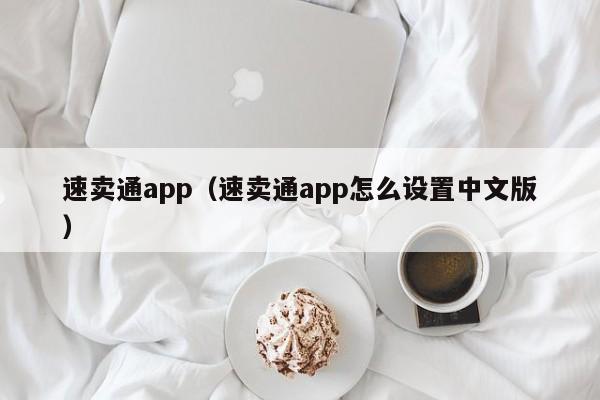 速卖通app（速卖通app怎么设置中文版） 第1张