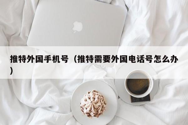 推特外国手机号（推特需要外国电话号怎么办） 第1张