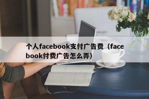 个人facebook支付广告费（facebook付费广告怎么弄） 第1张
