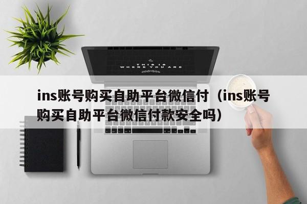 ins账号购买自助平台微信付（ins账号购买自助平台微信付款安全吗） 第1张