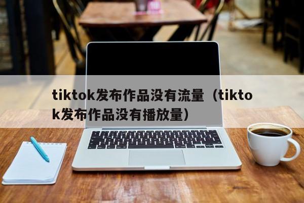 tiktok发布作品没有流量（tiktok发布作品没有播放量） 第1张