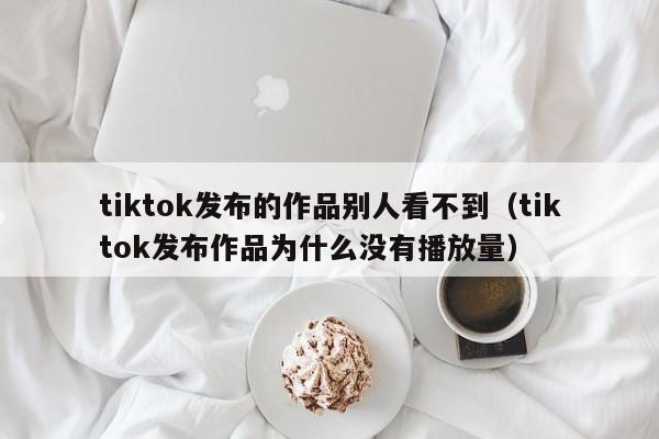 tiktok发布的作品别人看不到（tiktok发布作品为什么没有播放量） 第1张