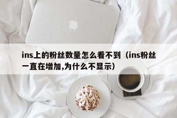 ins上的粉丝数量怎么看不到（ins粉丝一直在增加,为什么不显示） 第1张