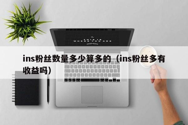 ins粉丝数量多少算多的（ins粉丝多有收益吗） 第1张