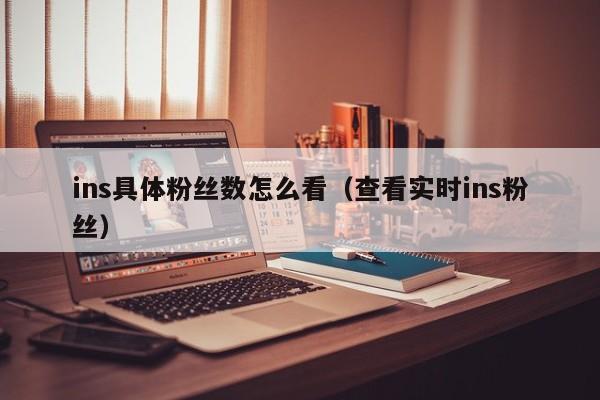 ins具体粉丝数怎么看（查看实时ins粉丝） 第1张