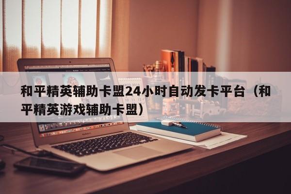 和平精英辅助卡盟24小时自动发卡平台（和平精英游戏辅助卡盟） 第1张