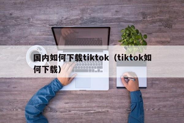国内如何下载tiktok（tiktok如何下载） 第1张
