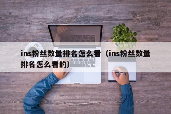 ins粉丝数量排名怎么看（ins粉丝数量排名怎么看的） 第1张