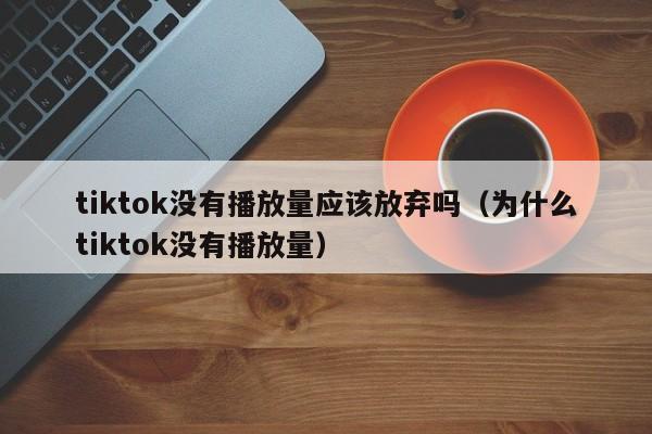 tiktok没有播放量应该放弃吗（为什么tiktok没有播放量） 第1张