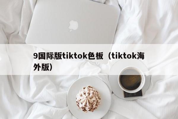 9国际版tiktok色板（tiktok海外版） 第1张
